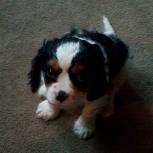 Meet your Posher, Ilana